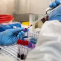 Alarm u Kongu: Epidemija ebole mogla bi postati najsmrtonosnija ikada