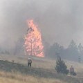 Grom udario u stablo pa buknuo požar na Tari: Vatrogasci se cele noći borili sa plamenom