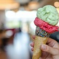 U Ogulinu se otvara najveća tvornica zanatskog sladoleda na svijetu