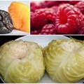 Izvoz iz Srbije: Kiseli kupus s niklom, maline s kadmijumom