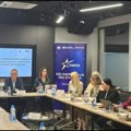 Poresko usklađivanje sa EU treba da bude i u skladu sa potrebama privrede