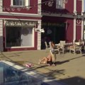 Sve same noge i gola... Poskidale se učesnice Elite, sevaju silikoni i obline (video)