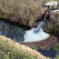 Krivična prijava za ispuštanje toksične vode u reku u Bačkoj Topoli