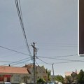 Neočekivana zverka pojavila se u Velikom Mokrom Lugu: "Nikoga do sada nije napala"