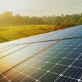 Knjaževačke: Tresibaba dobija najveći solarni park u Srbiji, Kinezi ulažu 200 miliona evra