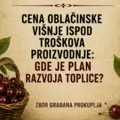 Cena višnje ispod troškova je rezultat nesposobnosti lokalne vlasti