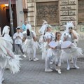 Zemunski karneval defileom počeo na Velikom trgu, bogat program sve do 19. jula