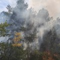 (Foto/video) Reporter Newsmax Balkans u Deliblatskoj peščari: "Jak dim se i dalje širi ka naseljenim mestima"