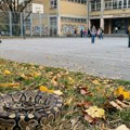 Nađen piton u dvorištu osnovne škole u Beogradu!