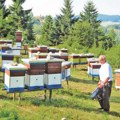 Za oko 12.000 dinara od danas manji troškovi za pčelare