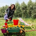 (Foto): Ovo je imanje Jelene Bačić Alimpić na Fruškoj gori: Ima vikendicu okruženu zelenilom i cvećem - pravi raj na…