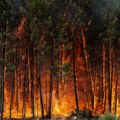 DRI: U Srbiji od 2012. do 2023. dogodilo se 1.228 šumskih požara, nema strateških dokumenata