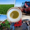 Kako izgleda organska farma budućnosti: Poseta LoginEKO imanju u Vojvodini