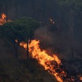 (Foto, video) Dramatično na Siciliji! Bukte desetine požara, poginuo vatrogasac, naselja bez struje: Hitna evakuacija…