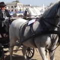 „Velikogospojinski” dani u Novom Bečeju: četiri dana muzike, tradicije i zabave