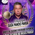Dani sete i ponosa. Memorijal Saši Pančiću i medjunarodni meč u čast 55 godina postojanja ŽRK Pirot, jednog od najboljih…