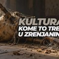 REČ UREDNIKA: Zrenjanin, Prestonica kulture: Posle umetnika iz ALUZ-a, na red došli Vanja Ilijev i „Rog Banata“ Vanja Ilijev i…
