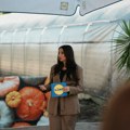Voće i povrće bez ostataka pesticida i gde se u Srbiji može kupiti