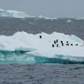 Topljenje leda na Antarktiku približava se tački bez povratka