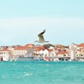 Turizam u Hrvatskoj najviše oskudeva radnicima: Evo koja su trenutno tri najtraženija zanimanja u ovoj susednoj zemlji