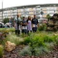 Niklo kao ja: Urbanim vrtovima protiv klimatskih promena