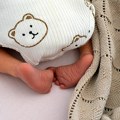 Za jedan dan rođene 24 bebe, uglavnom dečaci