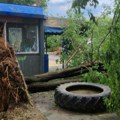 Devojčica i žena povređene u Novom Sadu kada je usled oluje na njih palo drvo