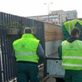 Ovakvi poslovi se moraju izvoditi prema pravilima struke: Jkp „Zelenilo-Beograd“ podnelo prijavu zbog nelegalne seče stabala…