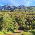Nišlija (56) nestao na Suvoj planini