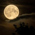 Pun Mesec 29. jula donosi preokret za tri znaka Zodijaka: Stiže period sreće i novih prilika
