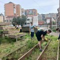 Škola „Radoje Domanović“ pravi usred betona oglednu baštu