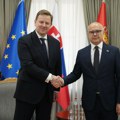 Vučević sa ambasadorom Slovačke o nastavku bilateralnih odnosa