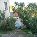 Vratio se da živi u pustom selu bez struje i vode, pa otvorio kafanicu – danas tu sto mora da se rezerviše nedelju dana…