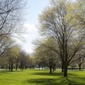 Kišno jutro ubrzo smenjuje sunce, najviša dnevna temperatura 23 stepena