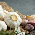 Beli luk je jedini spas Izbacuje sve otrove i parazite iz organizma, čisti creva, podmlađuje kožu