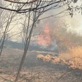 Požari u Albaniji: Angažovana vojska i međunarodna pomoć FOTO