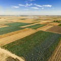 Najjeftiniji ar zemljišta u Srbiji prodat za samo 10€: U 6 gradova cene ispod 20€, a evo gde se beleže rekordi