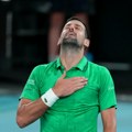 Sinner can't stop Djoković - Novak reaches the Australian Open final! VIDEO