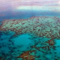 Majka i ćerka otkrile najveću koloniju korala na Velikom koralnom grebenu