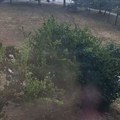 Apokalipsa u Borči, pljušti i u Zemunu: "Skočili smo da zatvaramo prozore, čuo se huk i digla se prašina"