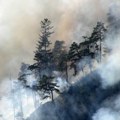 Evakuisano 500 osoba zbog šumskog požara, uništeno 300 kuća