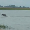 Neverovatne scene iz okoline Novog Sada, srndaći skaču poplavljenim poljima Futoga (VIDEO)