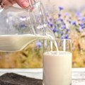 Строжи стандарди за ниво афлатоксина у млеку одложени за годину дана