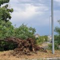 Sve ekipe javnih preduzeća angažovane na otklanjanju posledica nevremena u Beogradu