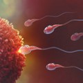 Познато да ли је Србија увозила сперму са генима који изазивају рак