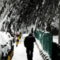 Upozorenje za područje Srbije na stvaranje snežnog pokrivača i pojavu ledene kiše