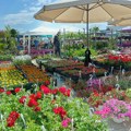 Na Sajmu hortikulture u Kragujevcu oko stotinu izlagača iz centralne Srbije