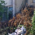 Čitaoci javljaju: Nisu uklonili posečeno građe pa napravili deponiju ljudima ispred lokala, komunalna milicija ne reaguje na…
