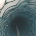 (Video) Spustili su kameru 180 metara ispod Antarktika i zanemeli zbog prizora na monitoru