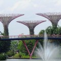 Singapur će zasaditi milion stabala u borbi protiv toplotnih talasa